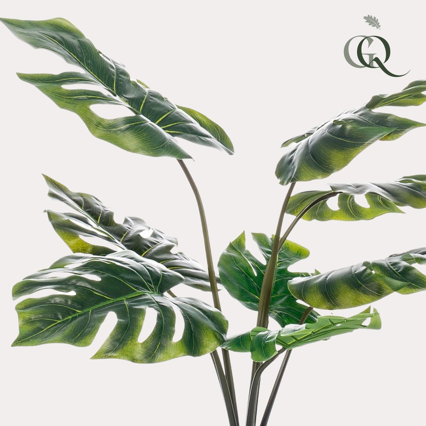 Künstliche Monstera Deliciosa - 65 cm - Pflanzfix24.de - Pflanzfix24.de
