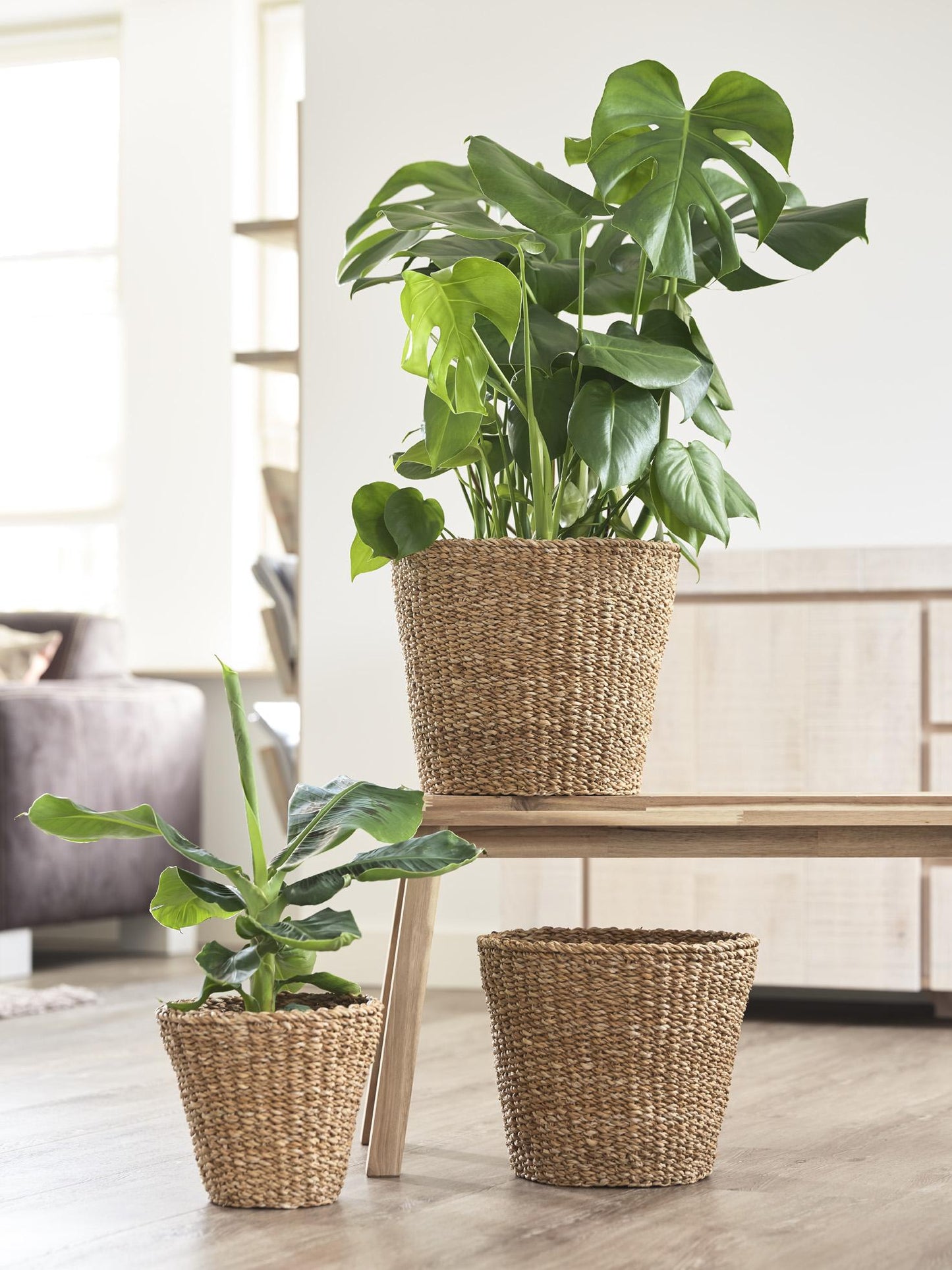 Korb Jip Natur M 30x26 cm – Handgefertigt & Nachhaltig | Pflanzfix24.de - Pflanzfix24.de