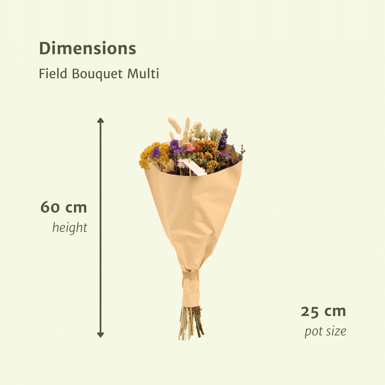 Trockenblumen Feldblumenstrauß Multi Ø25cm | Pflanzfix24.de - Pflanzfix24.de