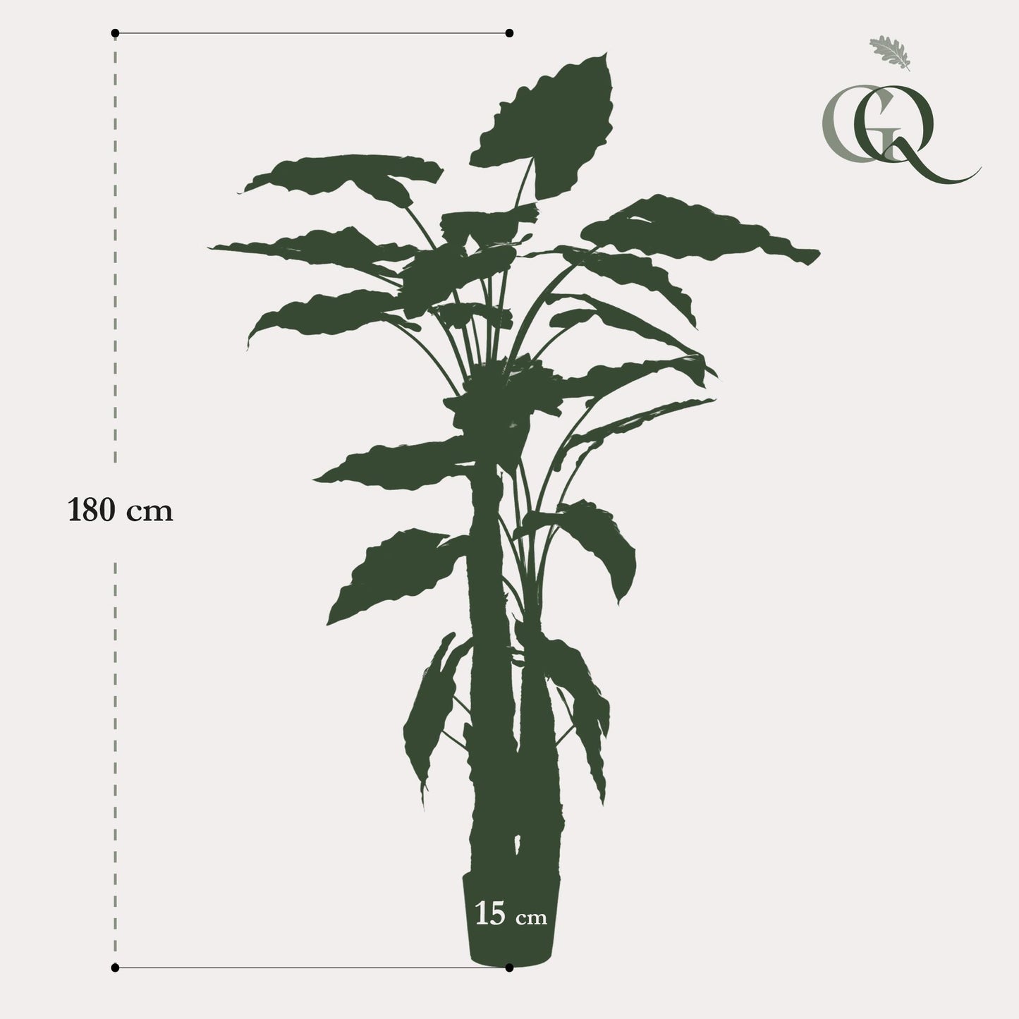 Kunst-Alocasia 180 cm – Pflanzfix24.de - Pflanzfix24.de