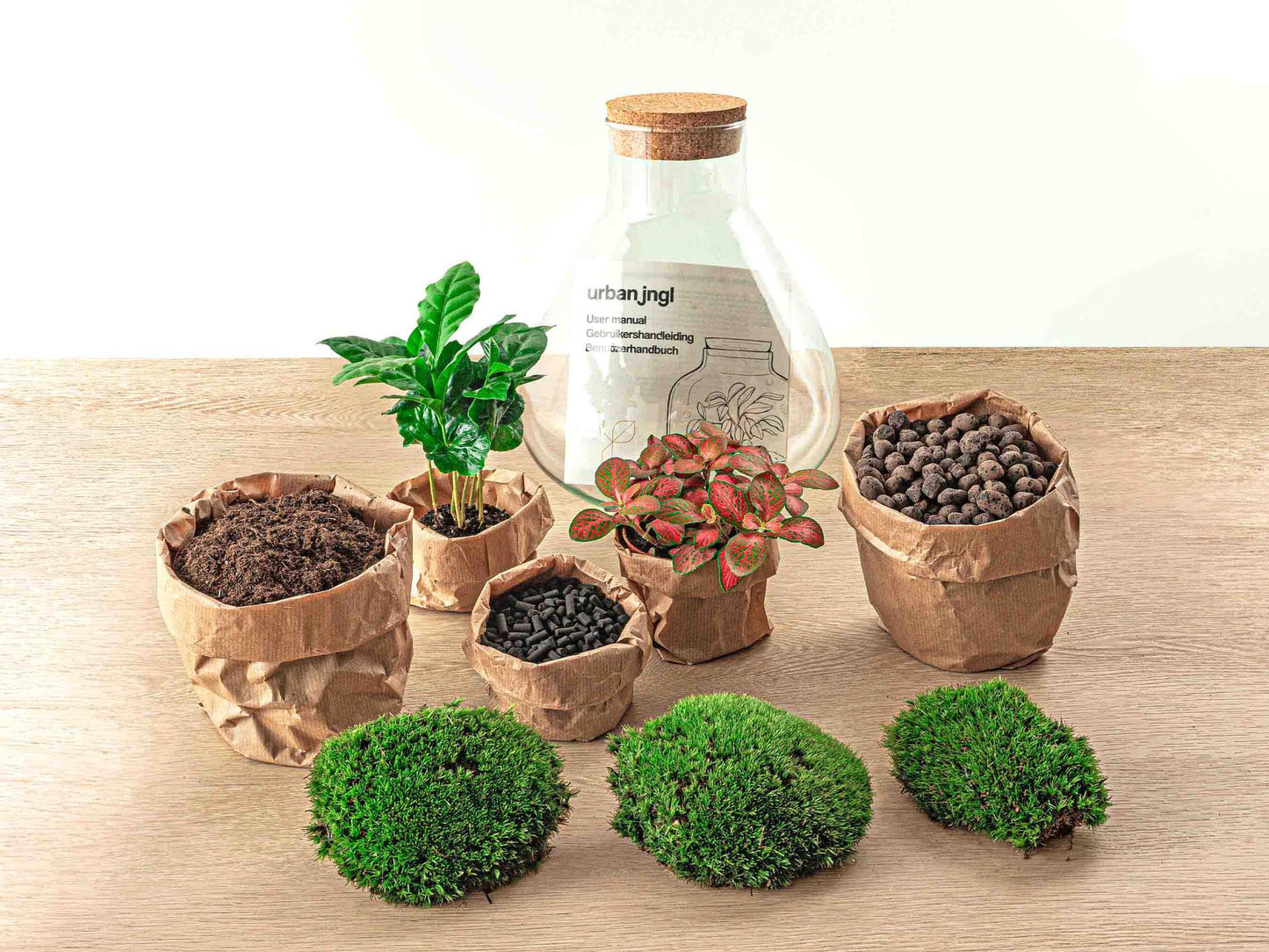 Flaschengarten - Sammie Coffea - 26 cm - Pflanzfix24.de - Pflanzfix24.de