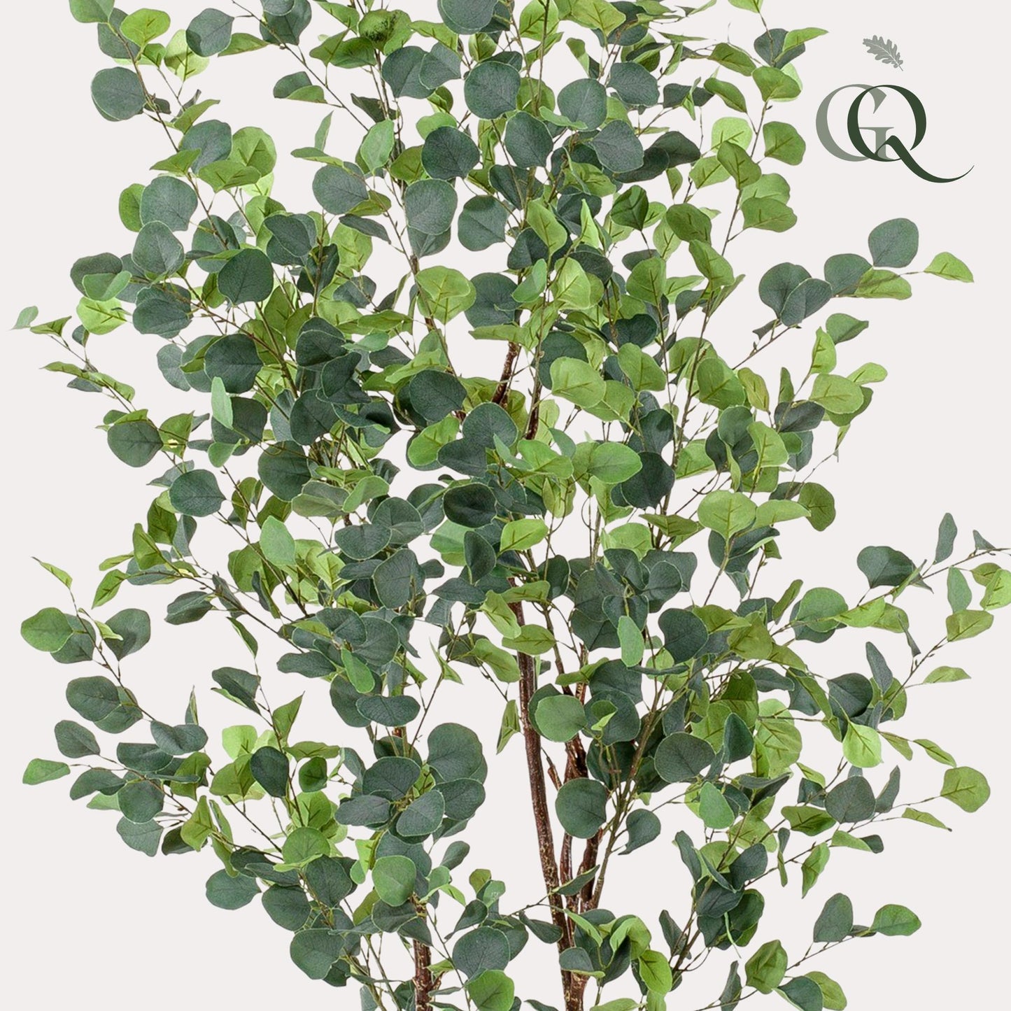 Eucalyptusbaum Kunstpflanze 180cm – Blauer Gummibaum | Pflanzfix24.de - Pflanzfix24.de