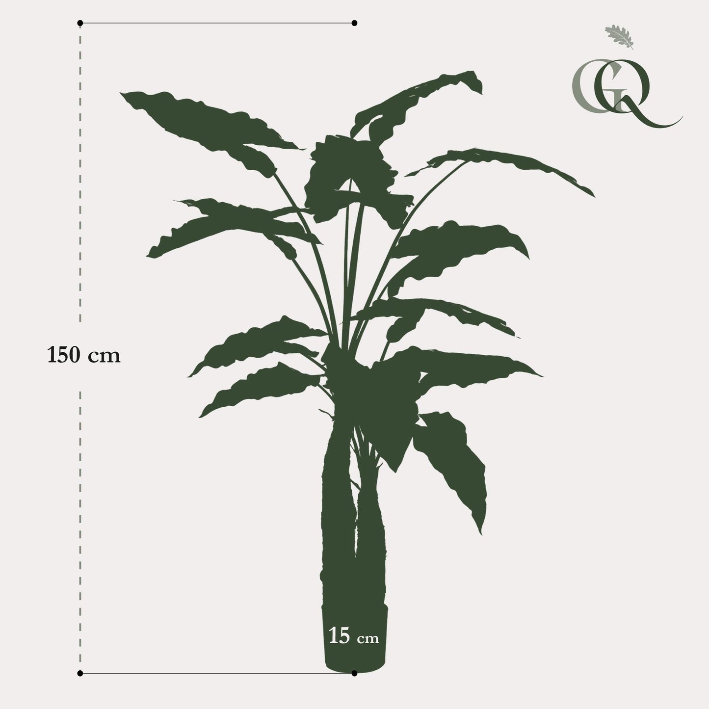 Kunst-Alocasia 150 cm – Pflanzfix24.de - Pflanzfix24.de