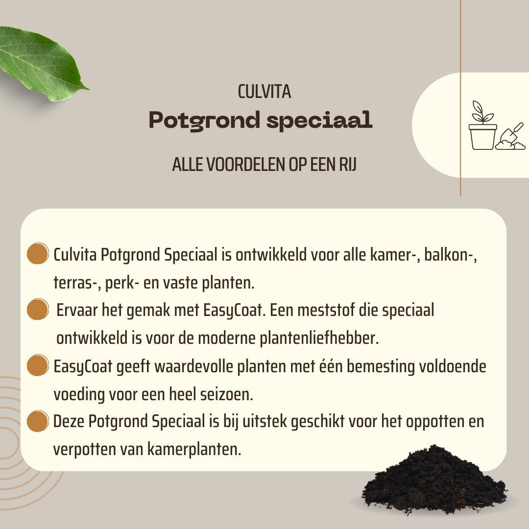 Culvita - Blumenerde Spezial mit 6 Monaten Düngung 40 Liter - Premium Erde für Zimmer- & Gartenpflanzen - inkl. EasyCoat Pflanzendünger - Pflanzfix24.de - Pflanzfix24.de