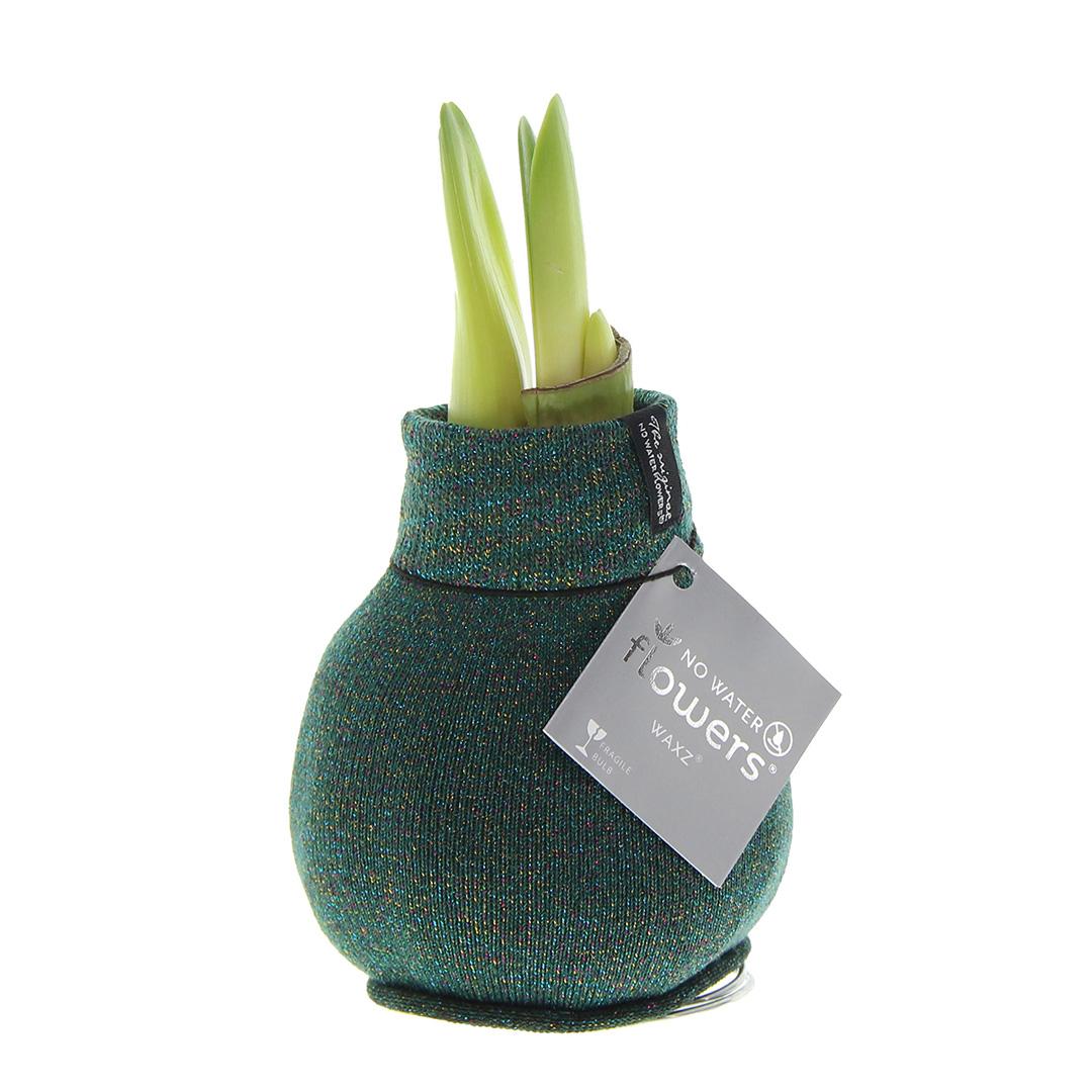 No Water Flowers® Fashionz Patternz Shine - Green + Red flower - Pflanzfix24