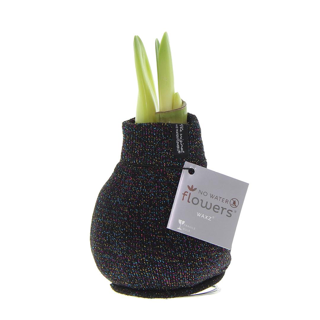 No Water Flowers® (wax amaryllis) | Fashionz Patternz Shine - Black + Red flower - Pflanzfix24