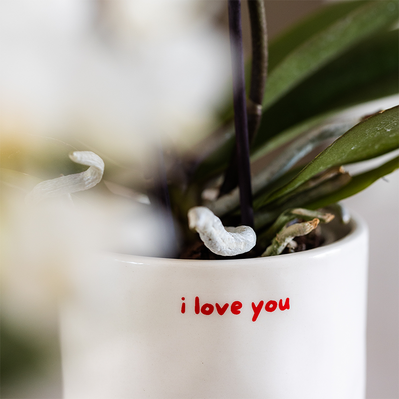 pflanzfix24 | I Love You Ziertopf - Ø9cm