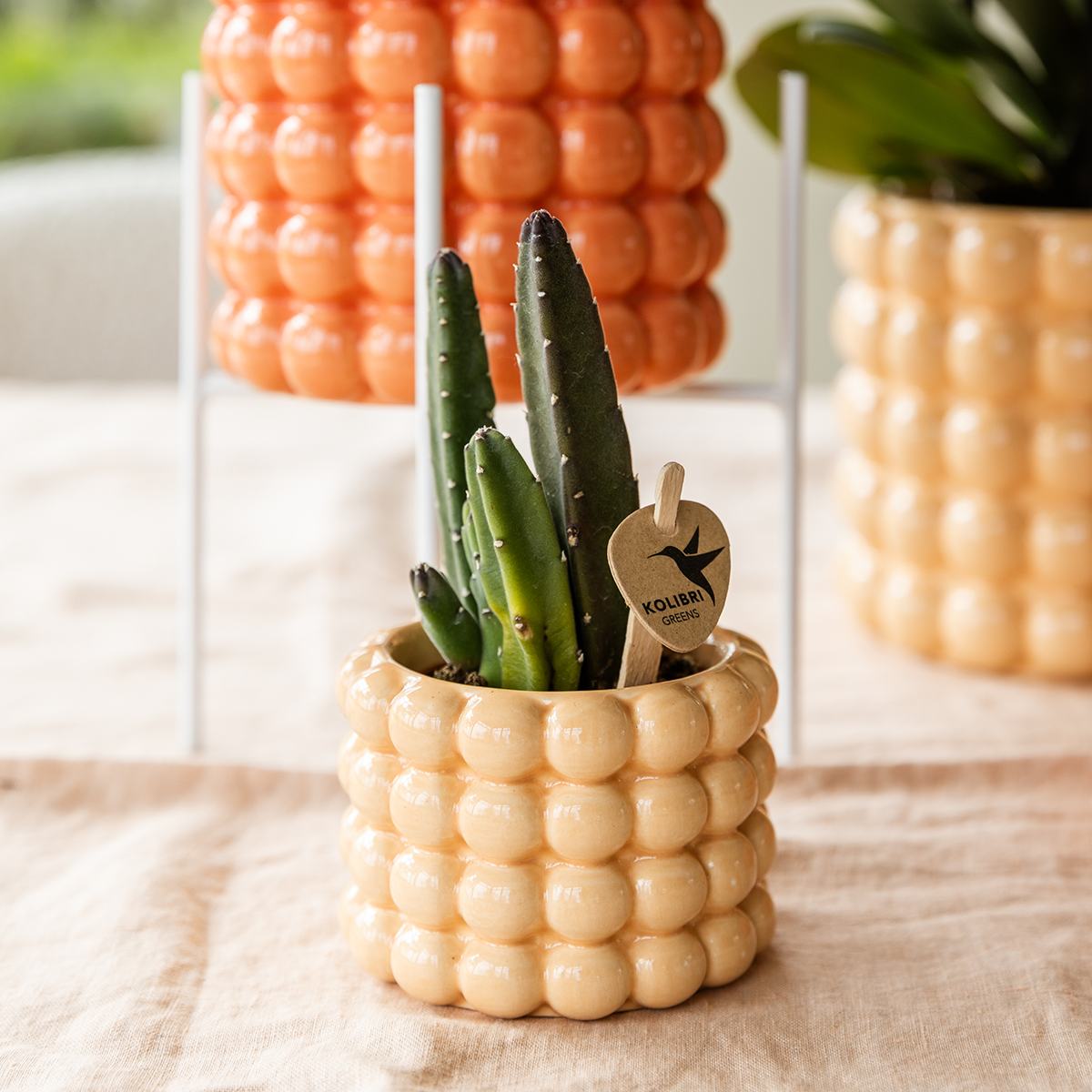 pflanzfix24 | Kolibri Home | Poppy Ziertopf - Peach - Ø6cm