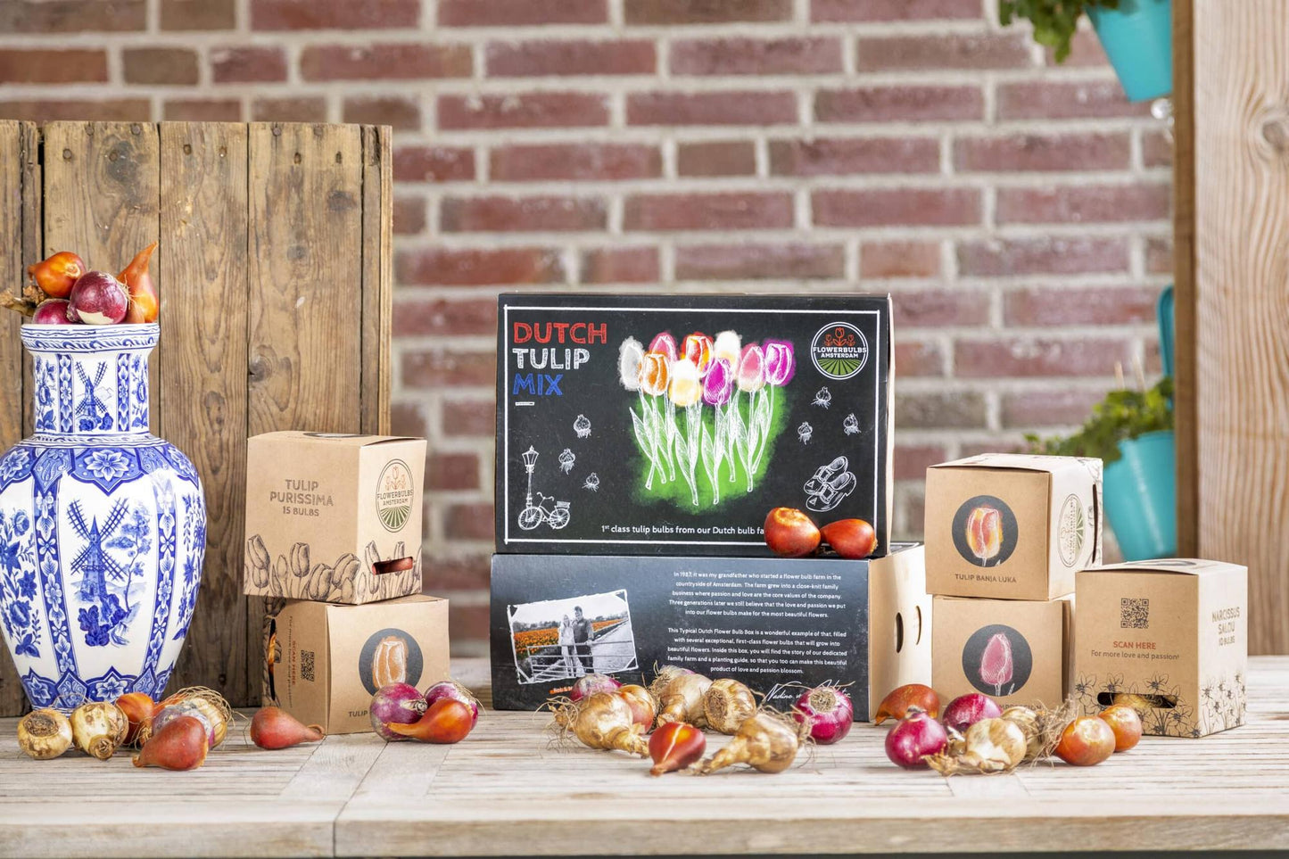 Dutch Tulip Mix - 90 Blumenzwiebeln - Flowerbulbs Amsterdam - Pflanzfix24