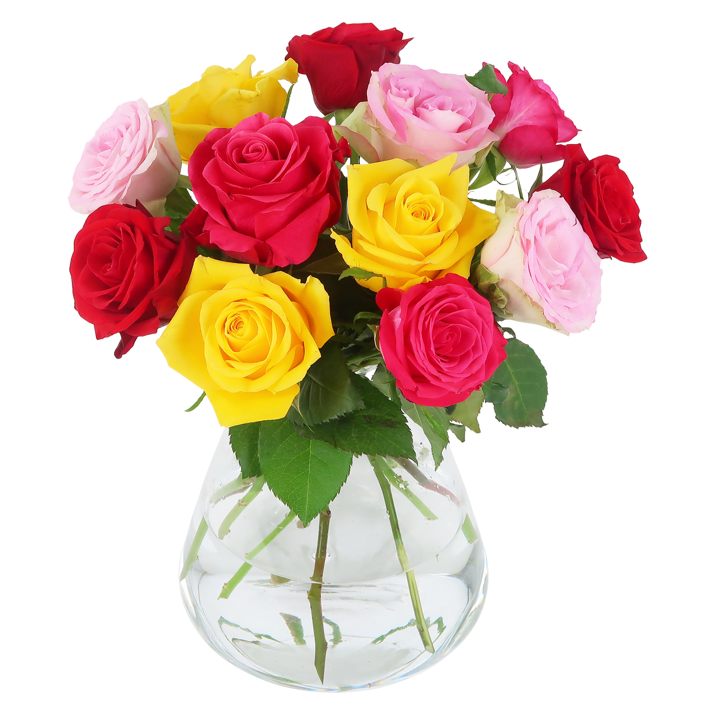 Colorful Roses - Briefkastenstrauß bunt - Pflanzfix24.de - Pflanzfix24.de