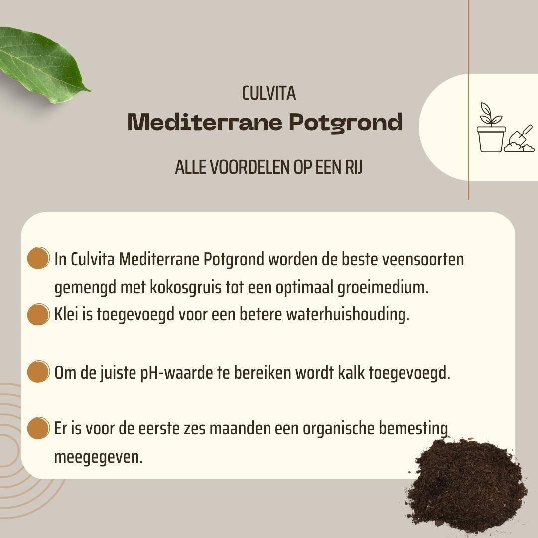Culvita - Mediterrane Blumenerde 40 Liter inklusive RhizoPlus - Pflanzfix24.de - Pflanzfix24.de