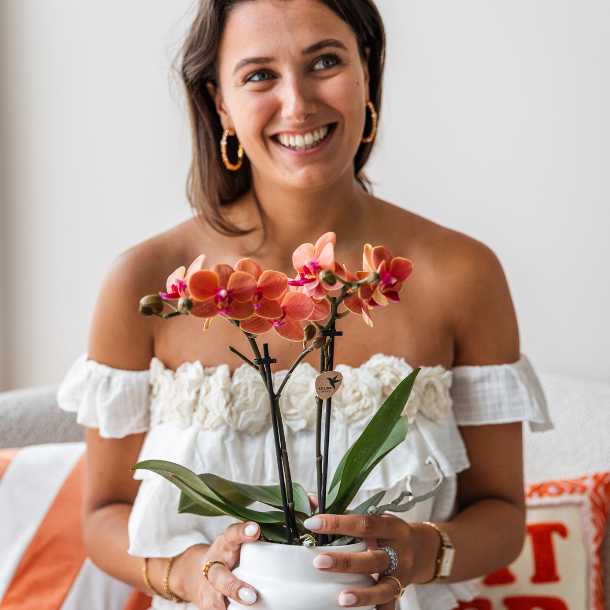 4er Set Phalaenopsis Bozen Orange – Combi Deal Ø9cm | Pflanzfix24.de - Pflanzfix24.de