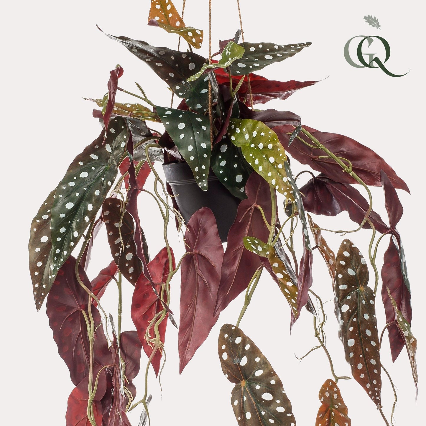 Kunst-Begonia Maculata 80 cm – Pflanzfix24.de - Pflanzfix24.de