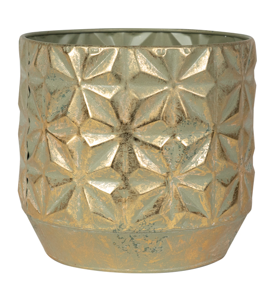 Pot Linske Shiny Gold - D15 bei Pflanzfix24