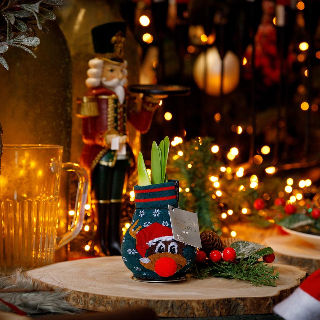 No Water Flowers® Fashionz Xmas Fun Silly - Rudolp Green + Red flower - Pflanzfix24