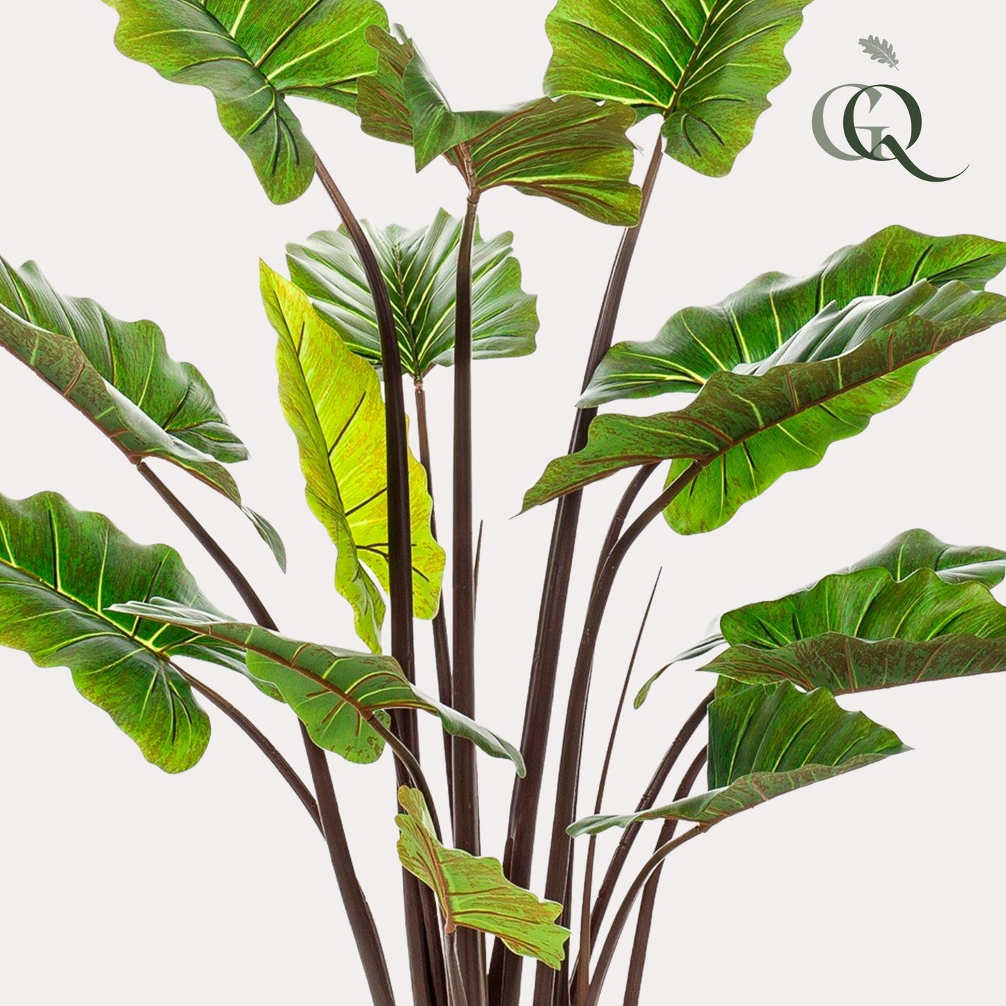Colocasia Pink China Kunstpflanze 130 cm – Elefantenohr | Pflanzfix24.de - Pflanzfix24.de