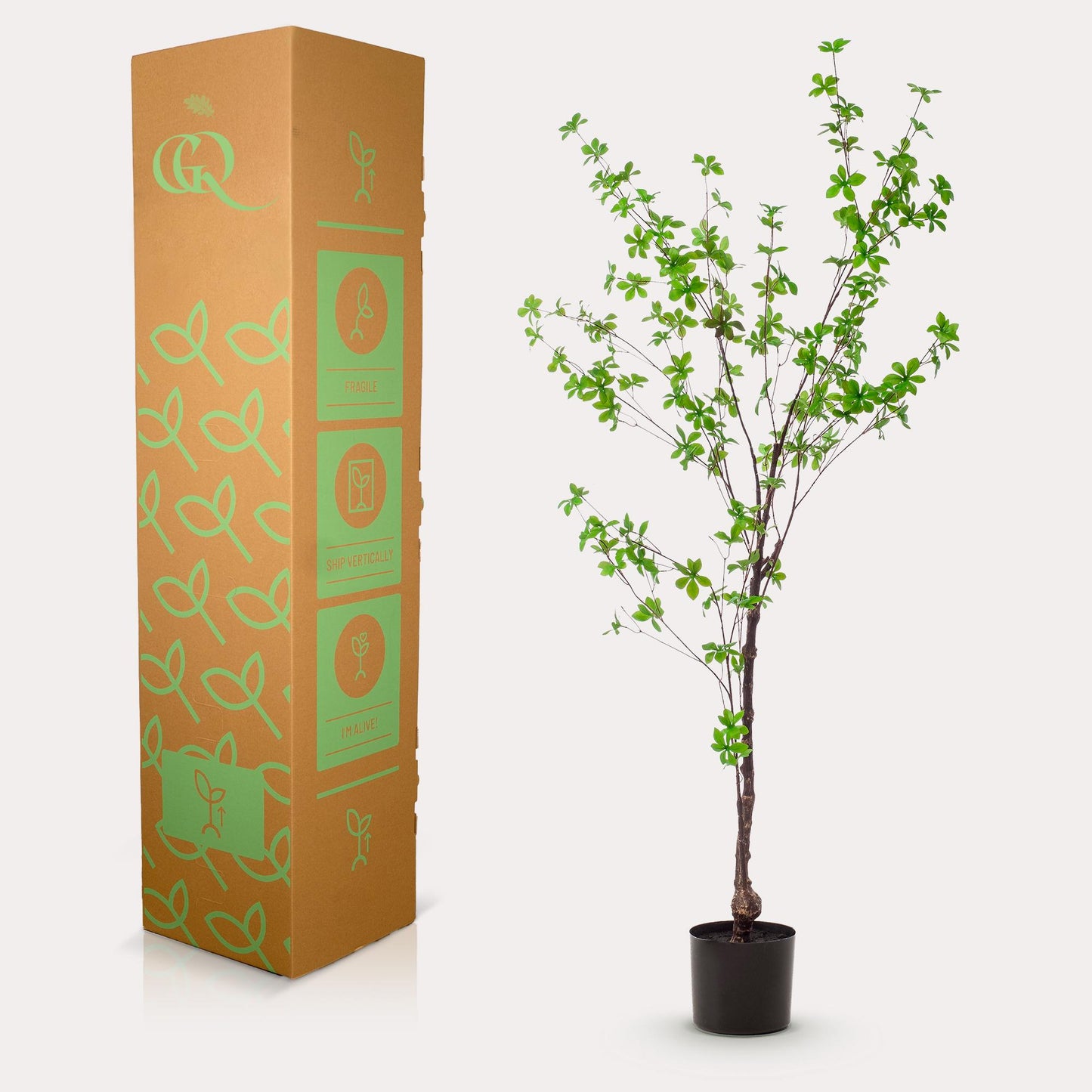 Kunst-Tropaeolum Speciosum 150 cm – Ostindische Kirsche | Pflanzfix24.de - Pflanzfix24.de