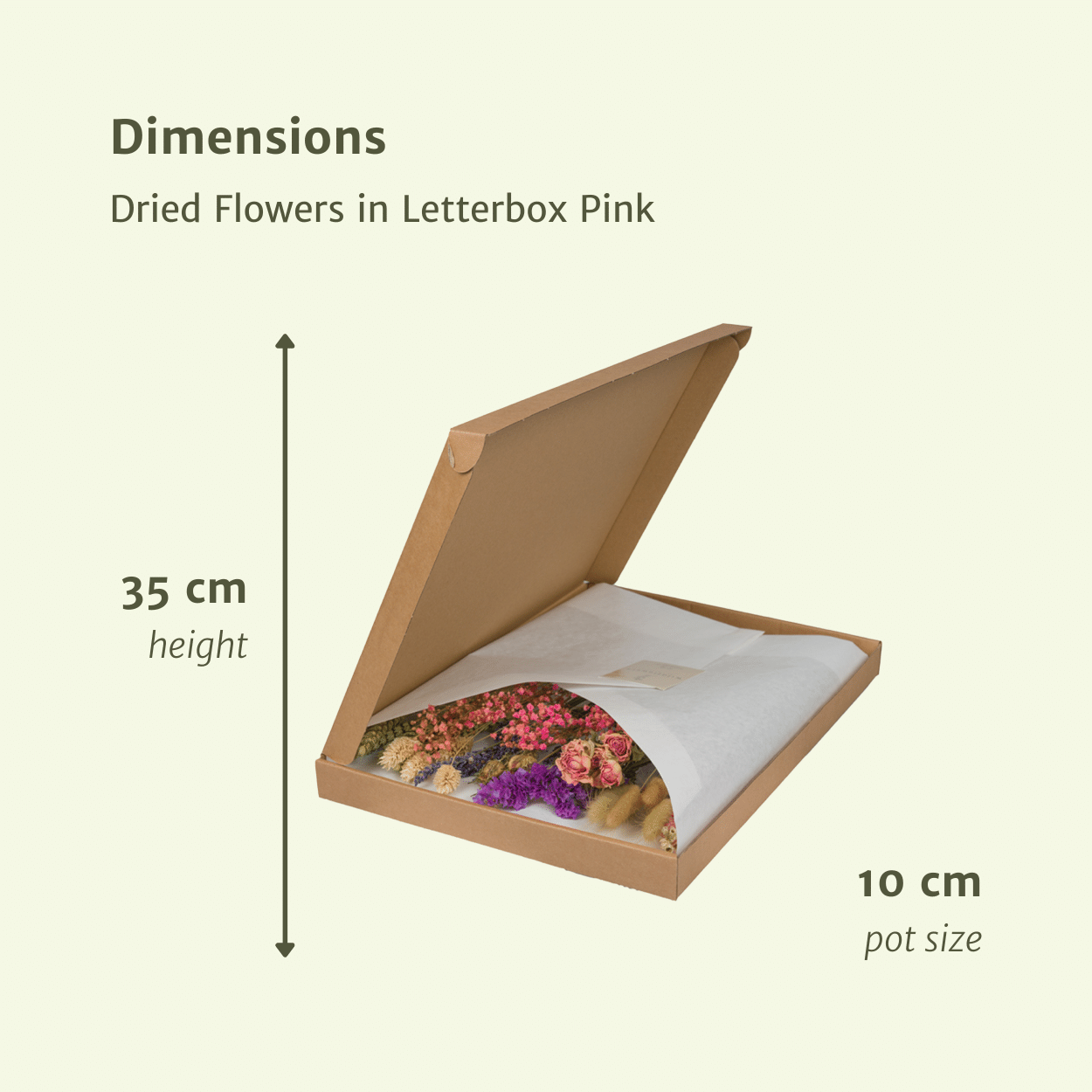 Trockenblumen Pink im Briefkasten – Pflanzfix24.de - Pflanzfix24.de