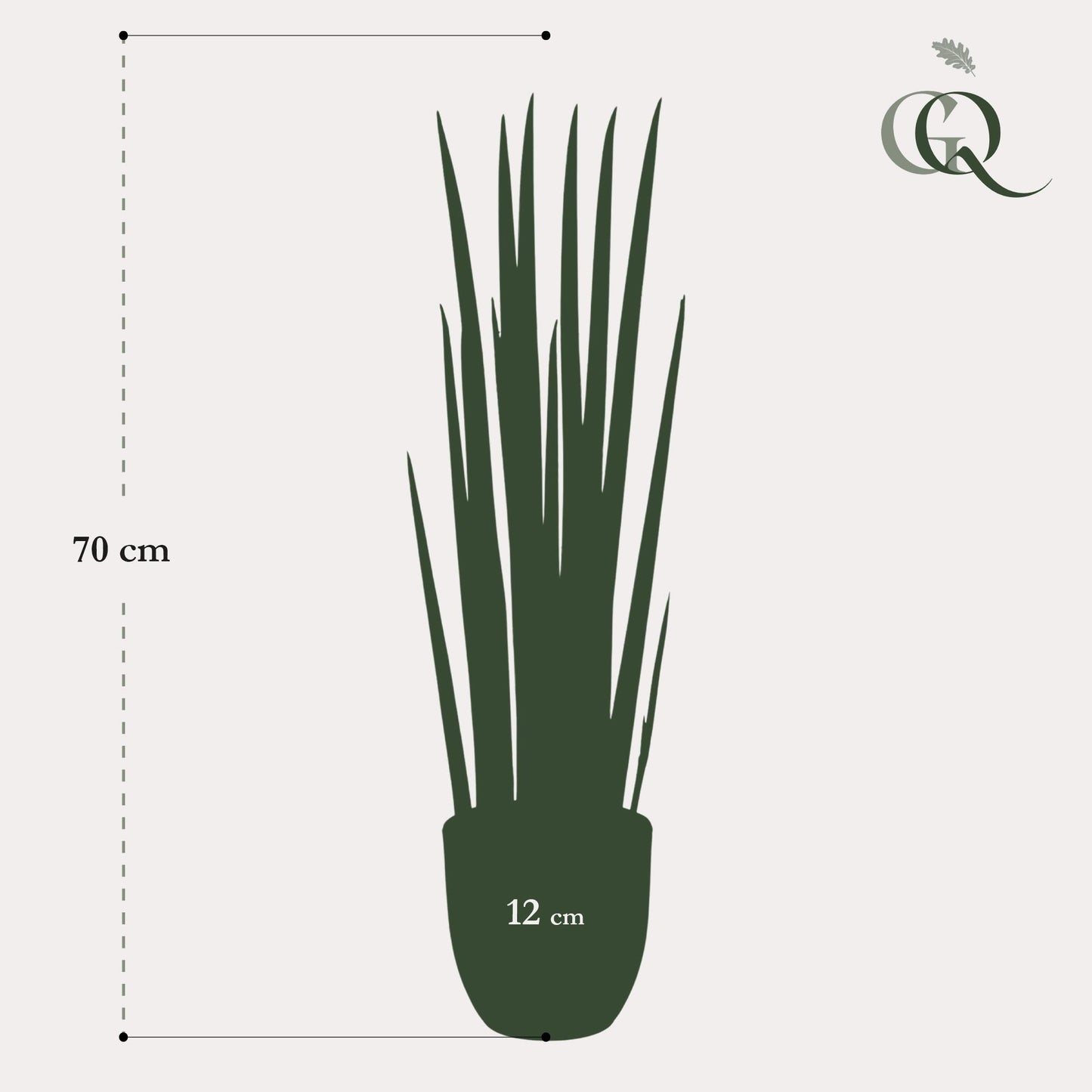 Kunst-Sansevieria Cylindrica 70 cm – Frauenzunge | Pflanzfix24.de - Pflanzfix24.de