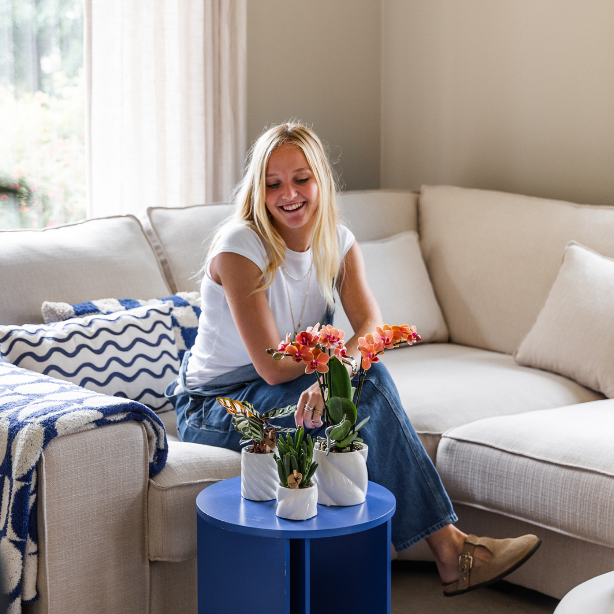 4er Set Phalaenopsis Bozen Orange – Combi Deal Ø9cm | Pflanzfix24.de - Pflanzfix24.de