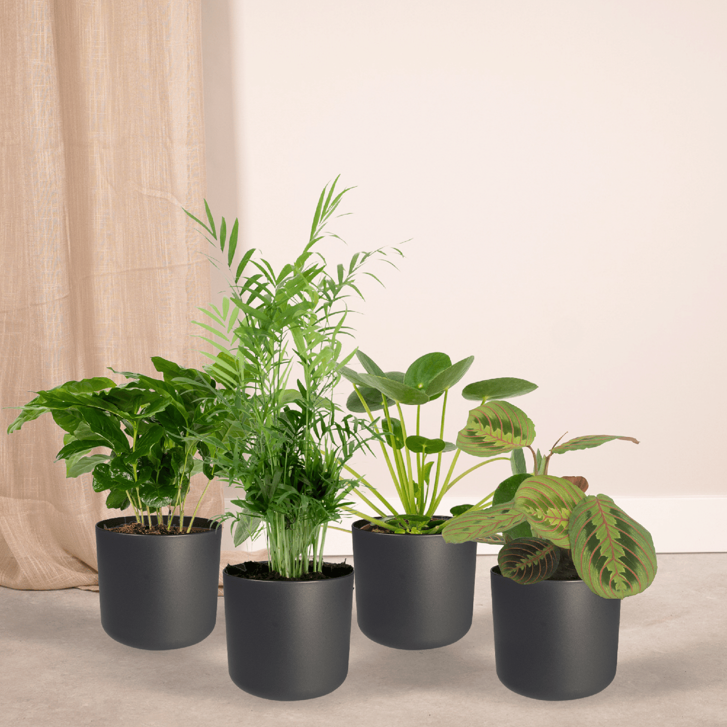 Tierfreundliche Pflanzkiste 4er-Set Ø12cm | Pflanzfix24.de - Pflanzfix24.de
