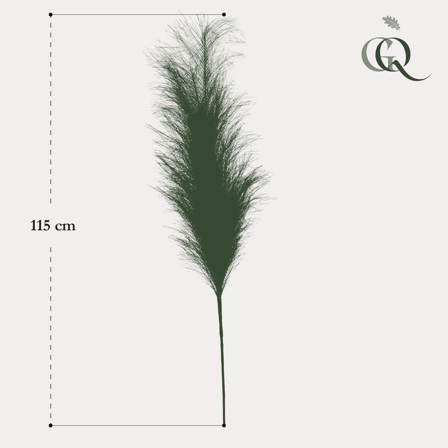 Pampas Pluimen Kunsttakken - Bruin - Set van 6 - 115cm - Pflanzfix24