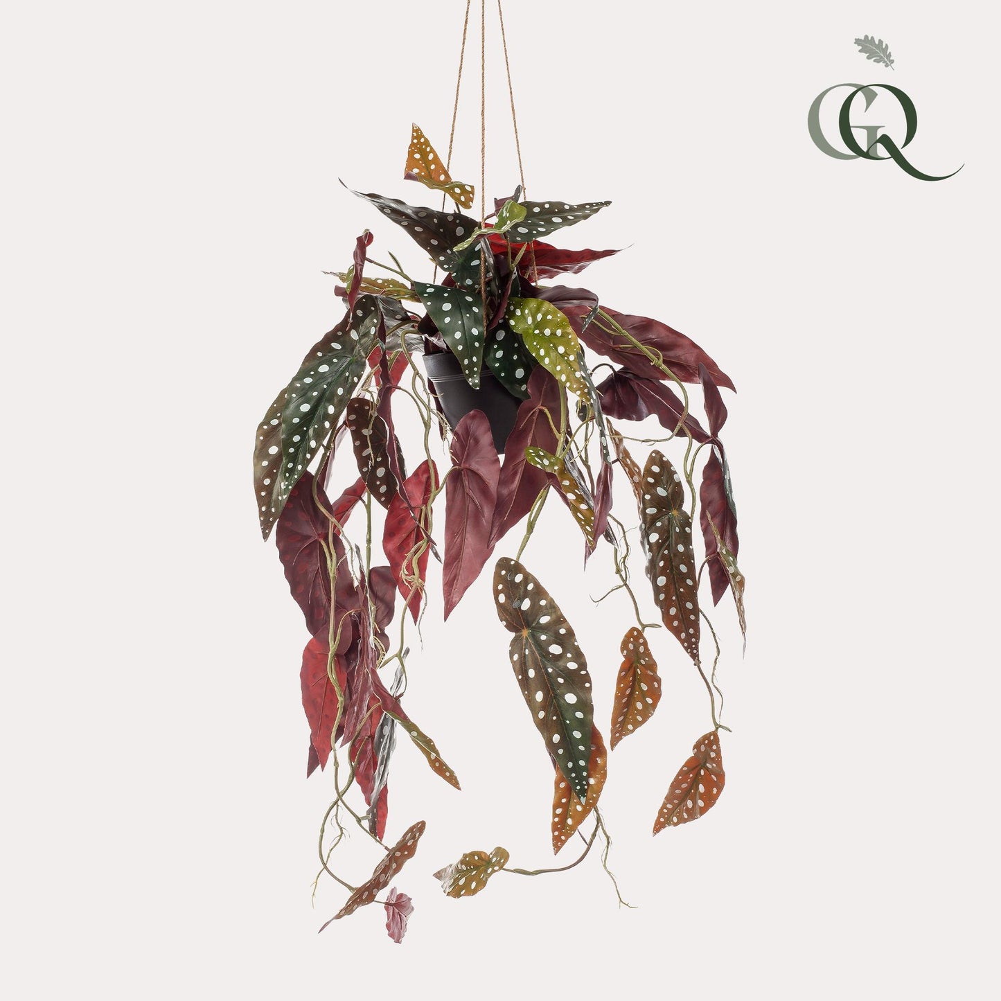 Kunst-Begonia Maculata 80 cm – Pflanzfix24.de - Pflanzfix24.de