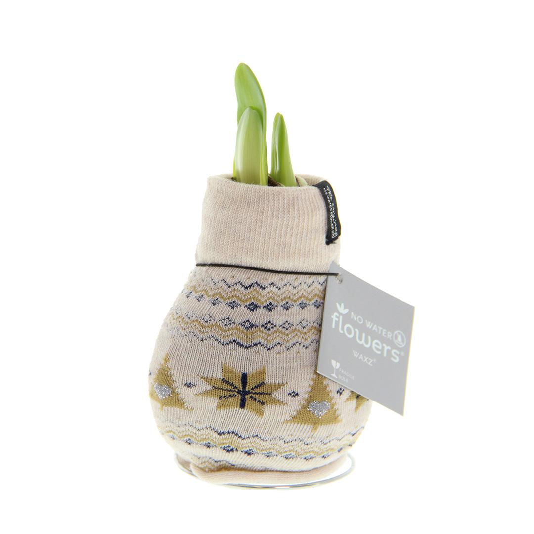 No Water Flowers® Fashionz Nordic - Beige + Red flower - Pflanzfix24