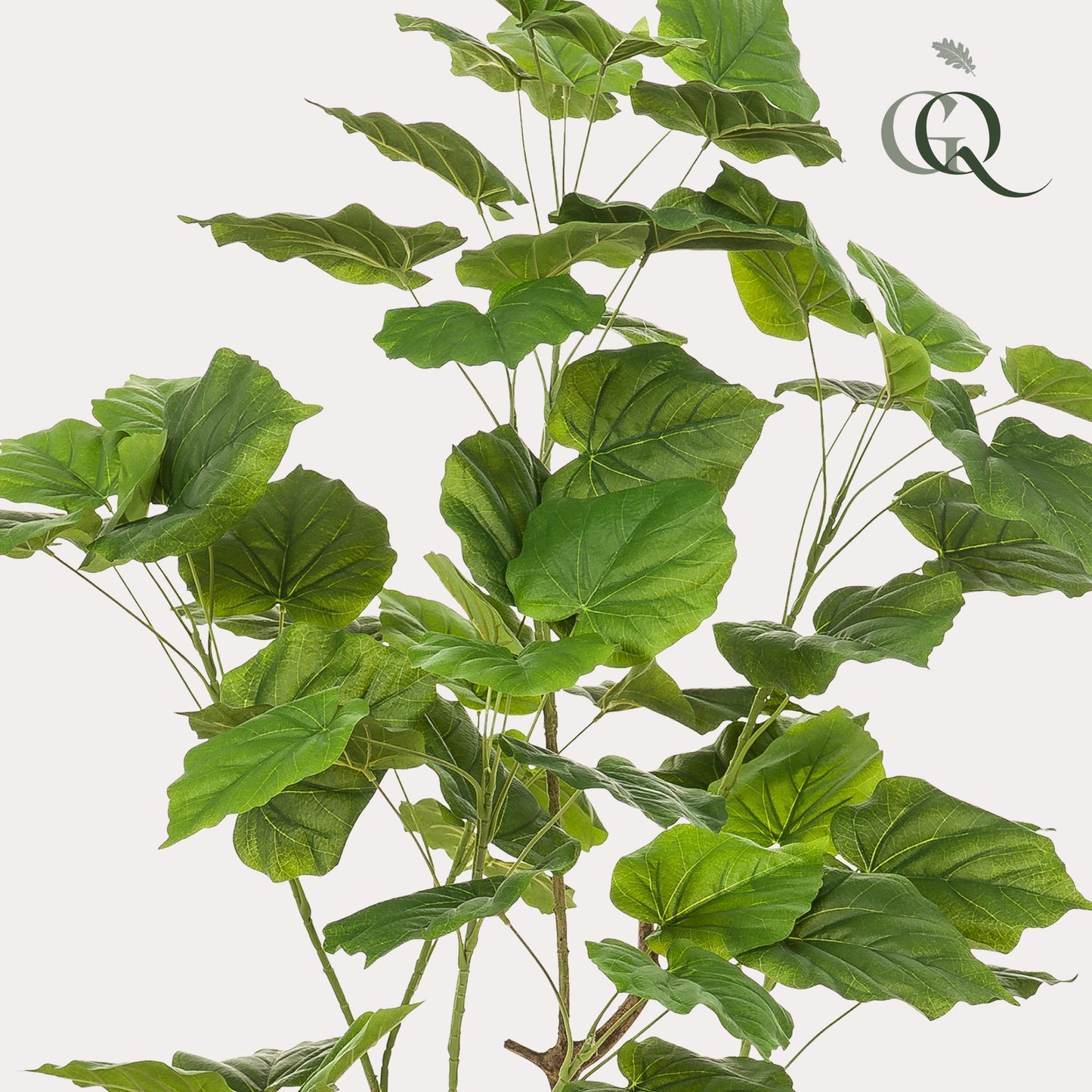 Kunstpflanze Ficus Umbellata 125 cm | Pflanzfix24.de - Pflanzfix24.de