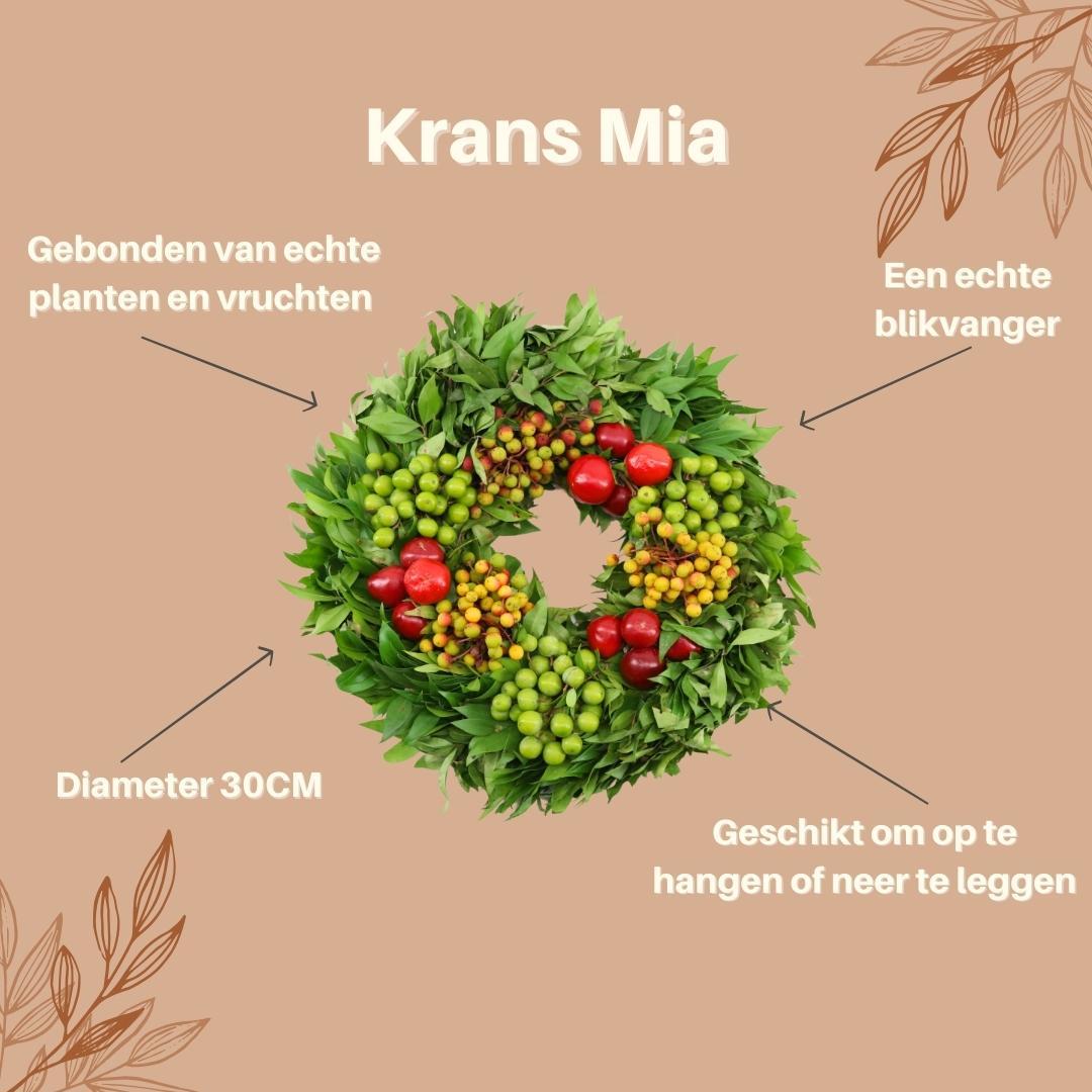 Echter Kranz Mia | Ø 30 cm - Pflanzfix24