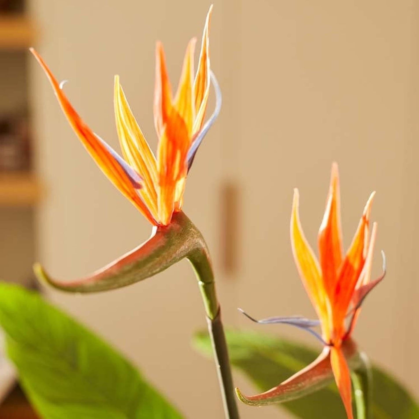 Strelitzia met bloemen - 120cm - In zwarte pot - Kunstplant - Pflanzfix24