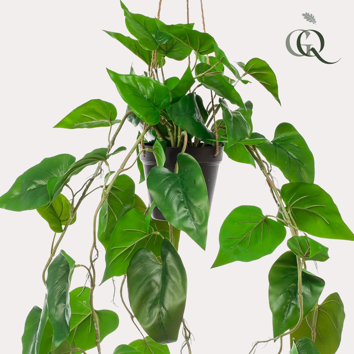Kunstpflanze Philodendron Hängepflanze 80 cm – Pflegeleicht & Realistisch | Pflanzfix24.de - Pflanzfix24.de