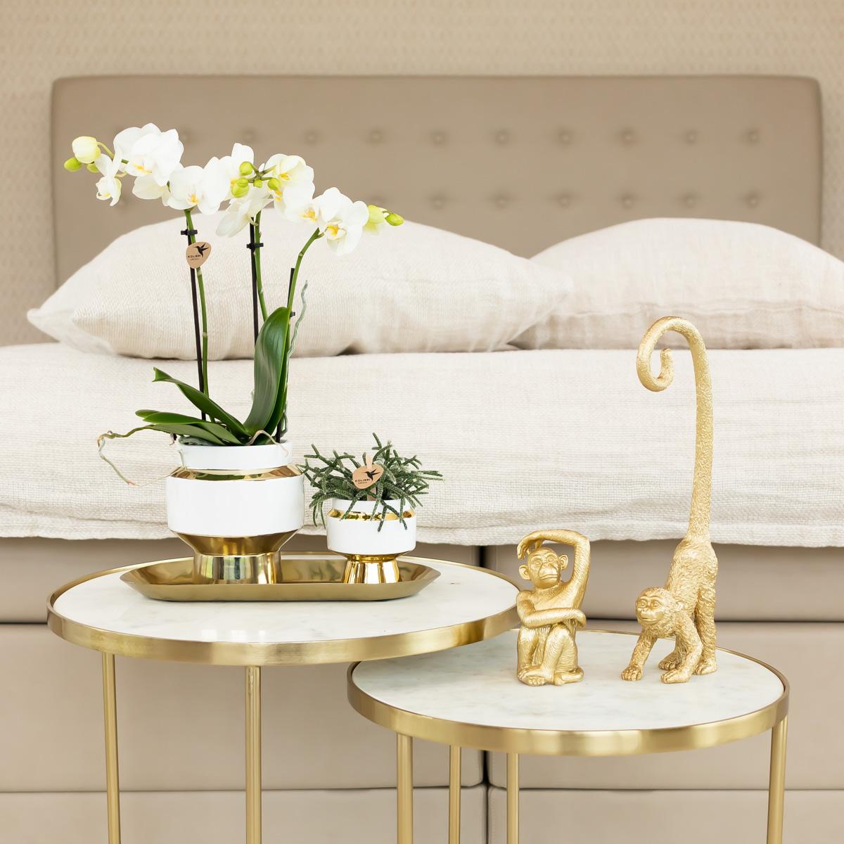 Sitzender Affe Dekofigur Gold – Kolibri Home | Pflanzfix24.de - Pflanzfix24.de