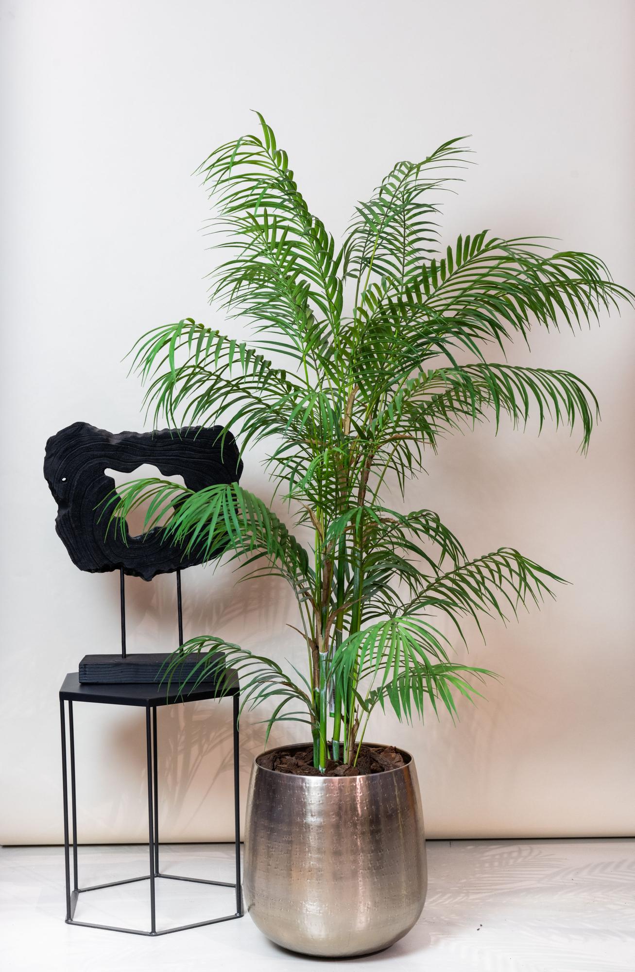 Kunstpalme Chamaedorea Elegans 120 cm – Pflanzfix24.de - Pflanzfix24.de