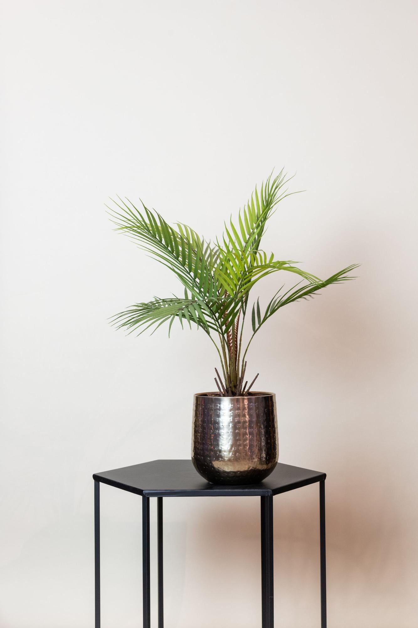 Kunstpalme Chamaedorea Elegans 50 cm – Pflanzfix24.de - Pflanzfix24.de