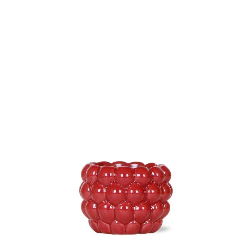 Berry Blumentopf Rot Ø6cm - Kolibri Home - Pflanzfix24.de - Pflanzfix24.de