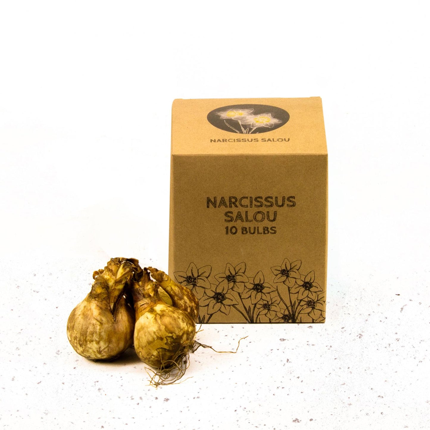 Blumenzwiebeln Narzisse 'Salou' - 10 Stück - Größe 12/14 - Pflanzfix24