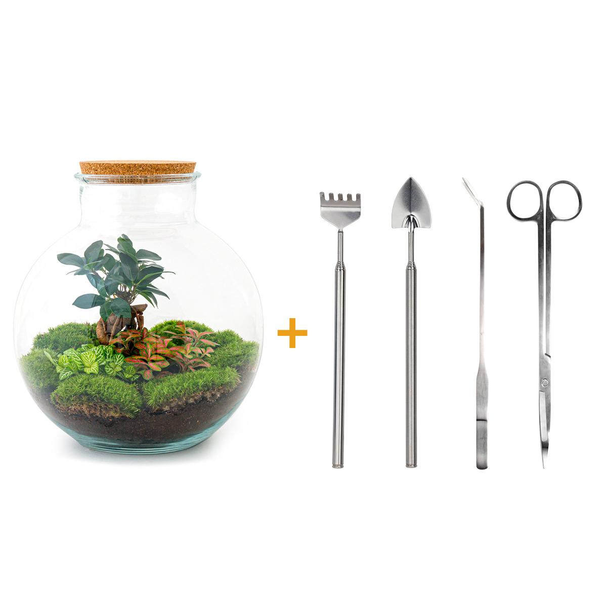 Flaschengarten - Bolder Bob Bonsai Set - Pflanzfix24