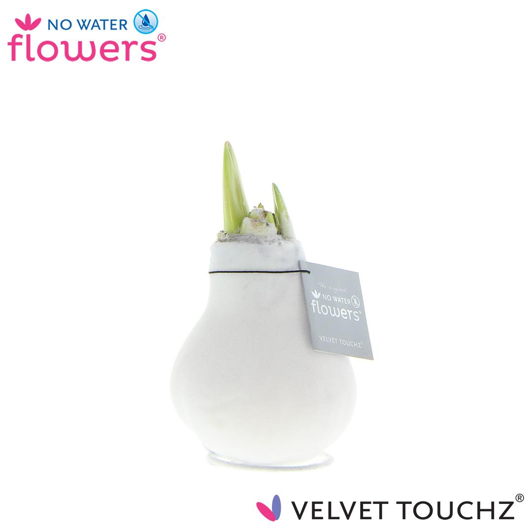 No Water Flowers Velvet Touchz® White - ↕15cm - Pflanzfix24