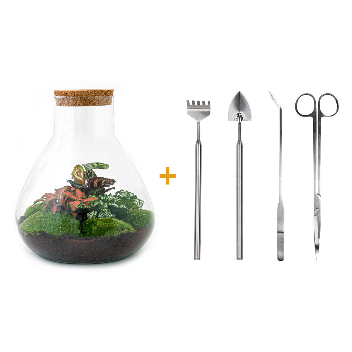 Flaschengarten - Sam XL Rot - ↕ 35 cm - Rake + Shovel + Tweezer + Scissors bei Pflanzfix24.de - Pflanzfix24.de