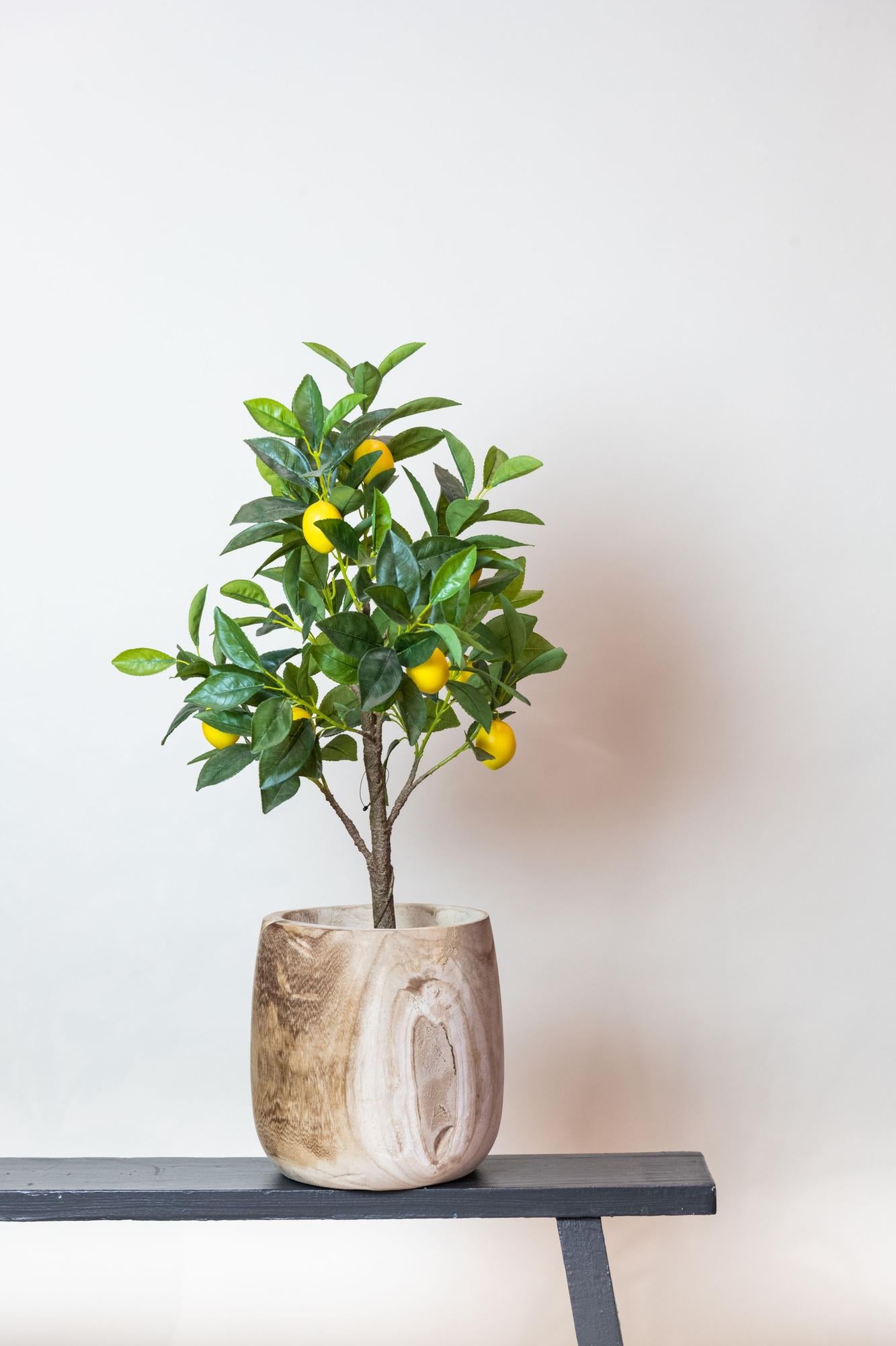 Kunst-Zitronenbaum Citrus Limonia 72 cm – Pflanzfix24.de - Pflanzfix24.de