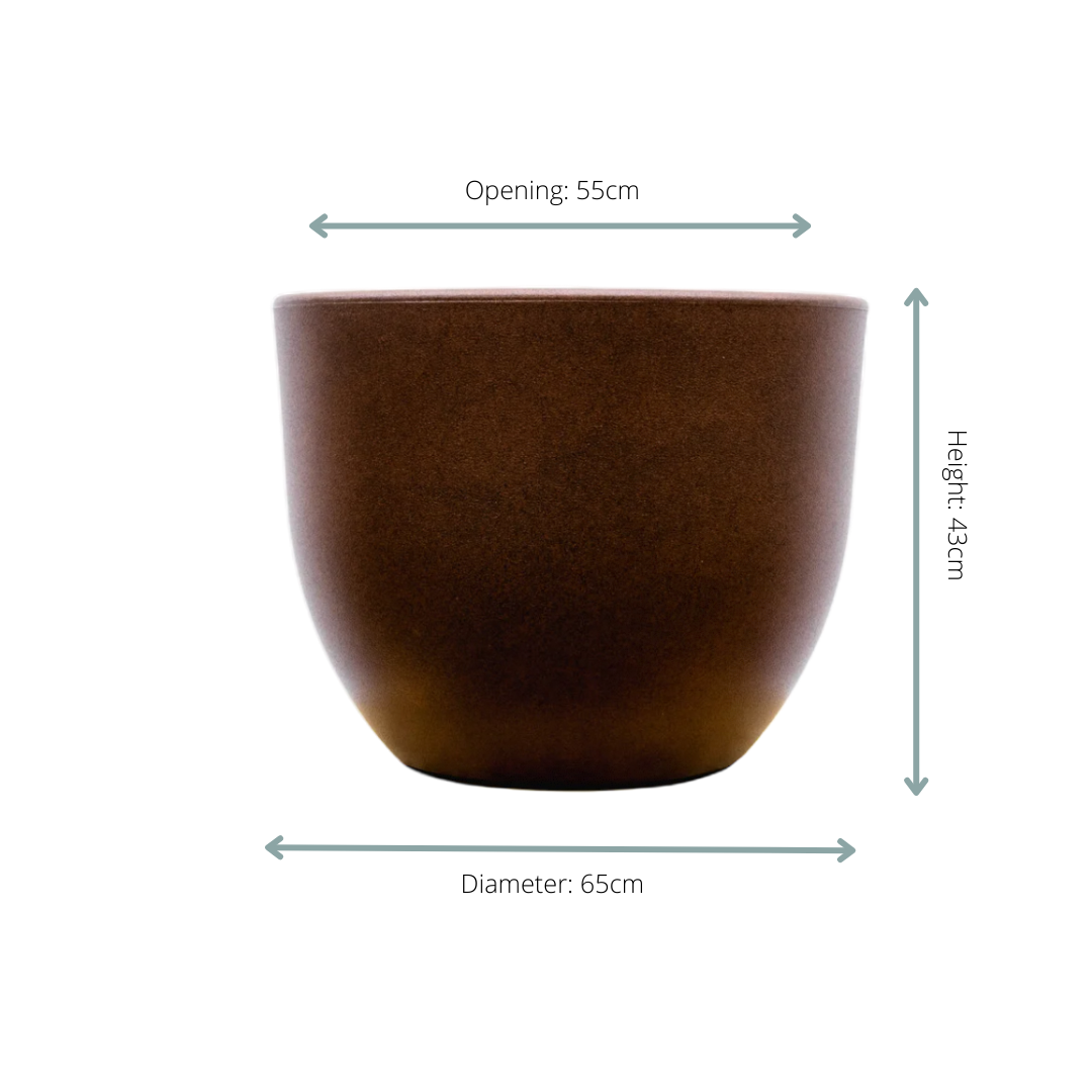 Blumentopf Eggy D65 Bronze XL Indoor/Outdoor – Pflanzfix24.de - Pflanzfix24.de