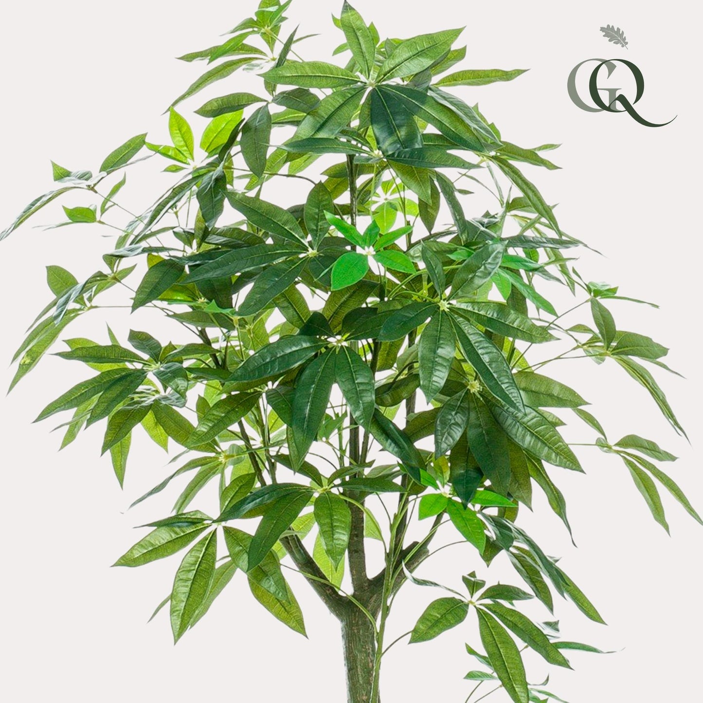 Kunstpflanze Pachira Aquatica 150 cm – Glückskastanie & Allergikerfreundlich | Pflanzfix24.de - Pflanzfix24.de
