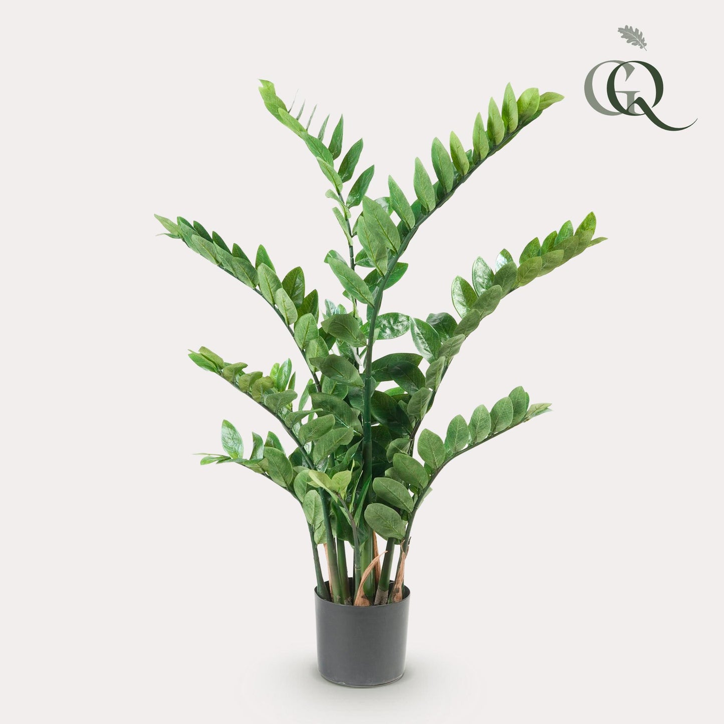 Kunst-Zamioculcas (Zimmerpalme) 110 cm – Pflegeleichte Deko | Pflanzfix24.de - Pflanzfix24.de