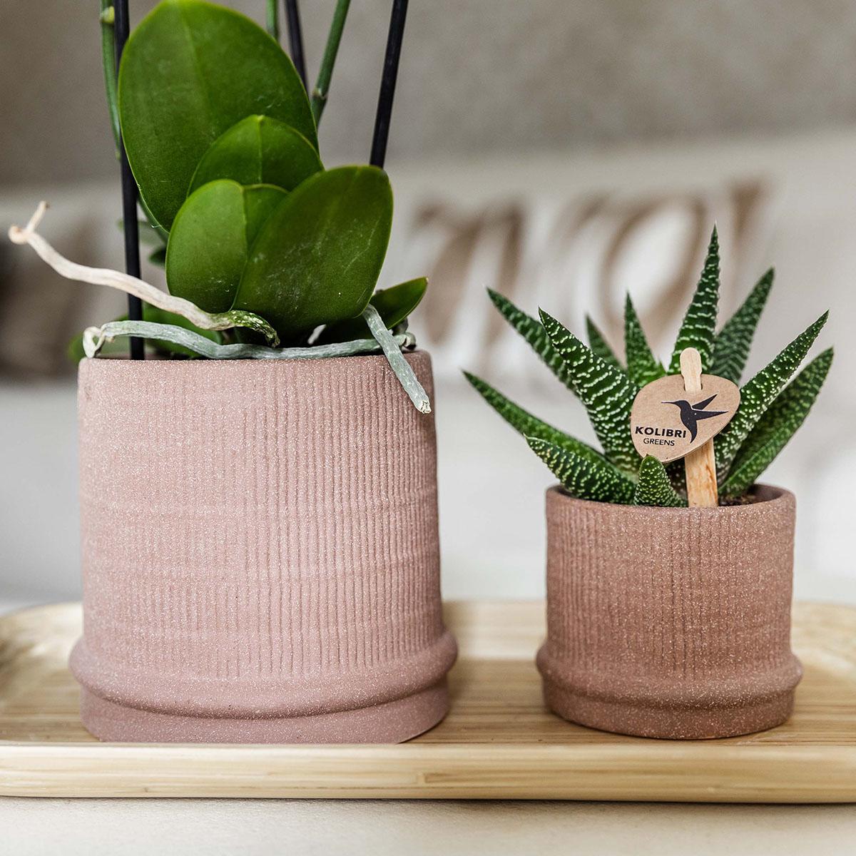 Bali Blumentopf Sand Ø6cm - Kolibri Home | Pflanzfix24.de - Pflanzfix24.de