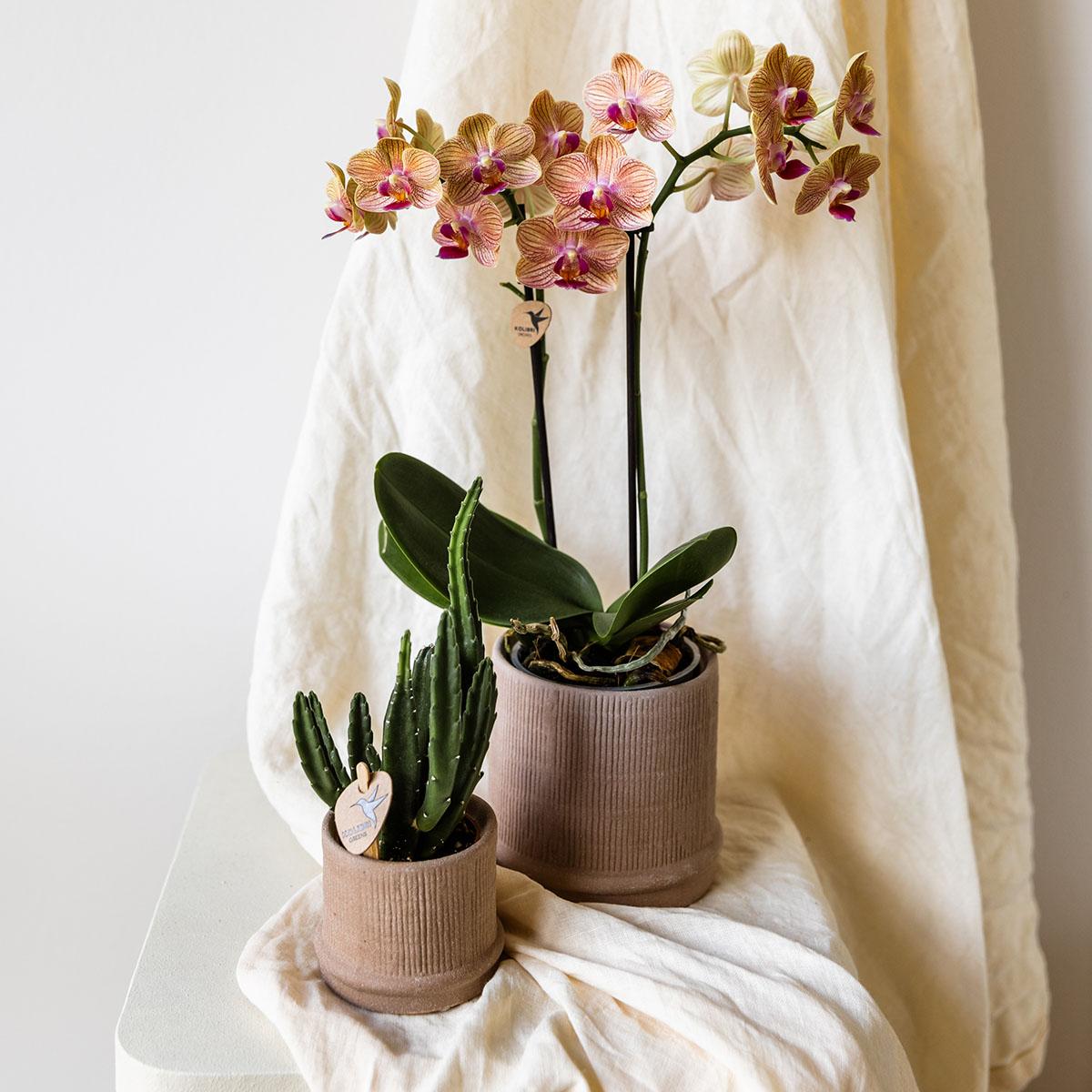 Bali Blumentopf Sand Ø9cm - Minimalistischer Keramiktopf mit Rillenstruktur | Pflanzfix24.de - Pflanzfix24.de