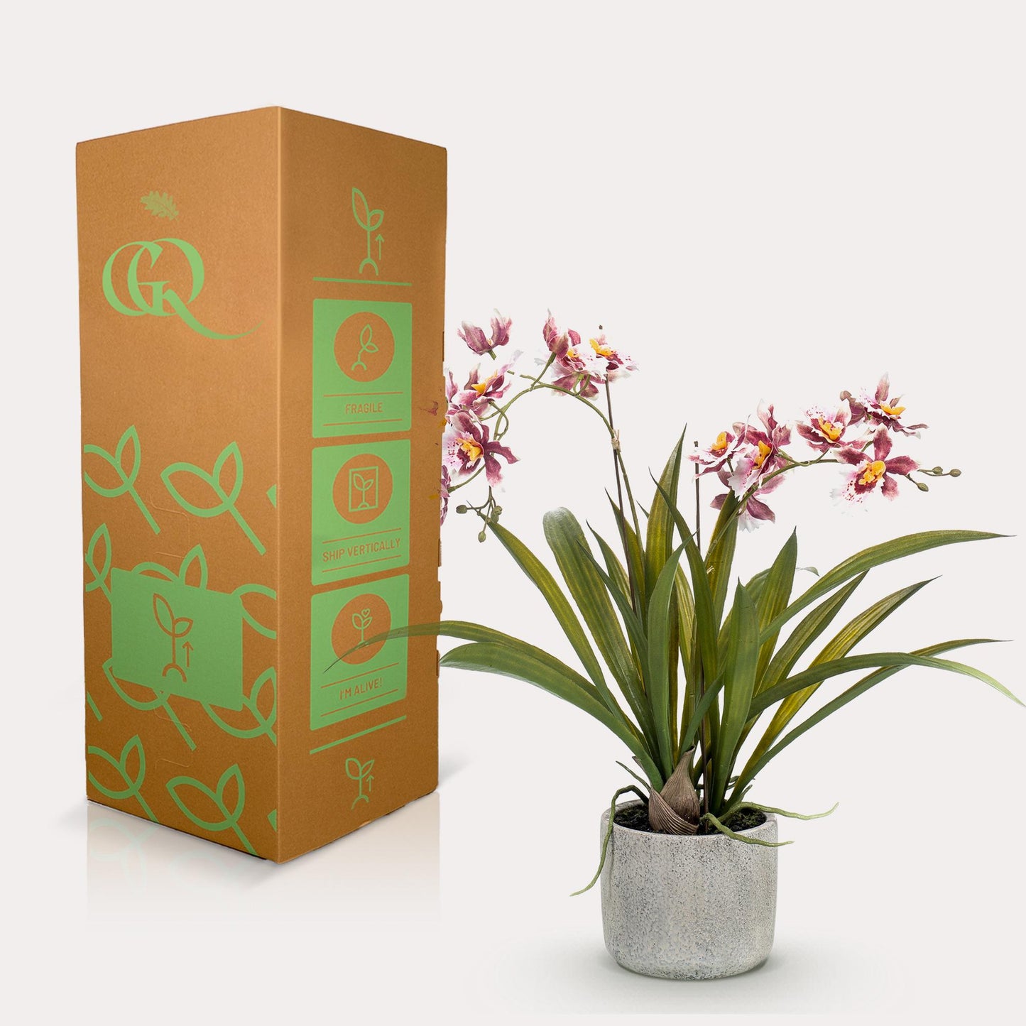 Kunstplant - Orchidee - Bordeaux - 45cm - Pflanzfix24