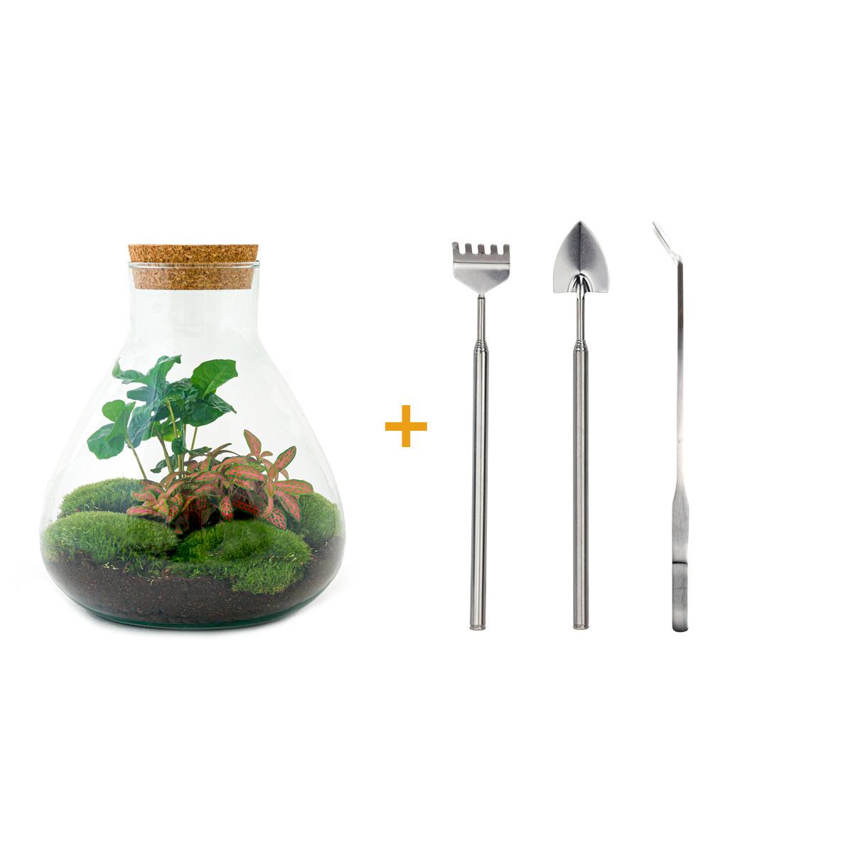 Flaschengarten - Sammie Coffea - ↕ 26 cm - Rake + Shovel + Tweezer - Pflanzfix24.de - Pflanzfix24.de