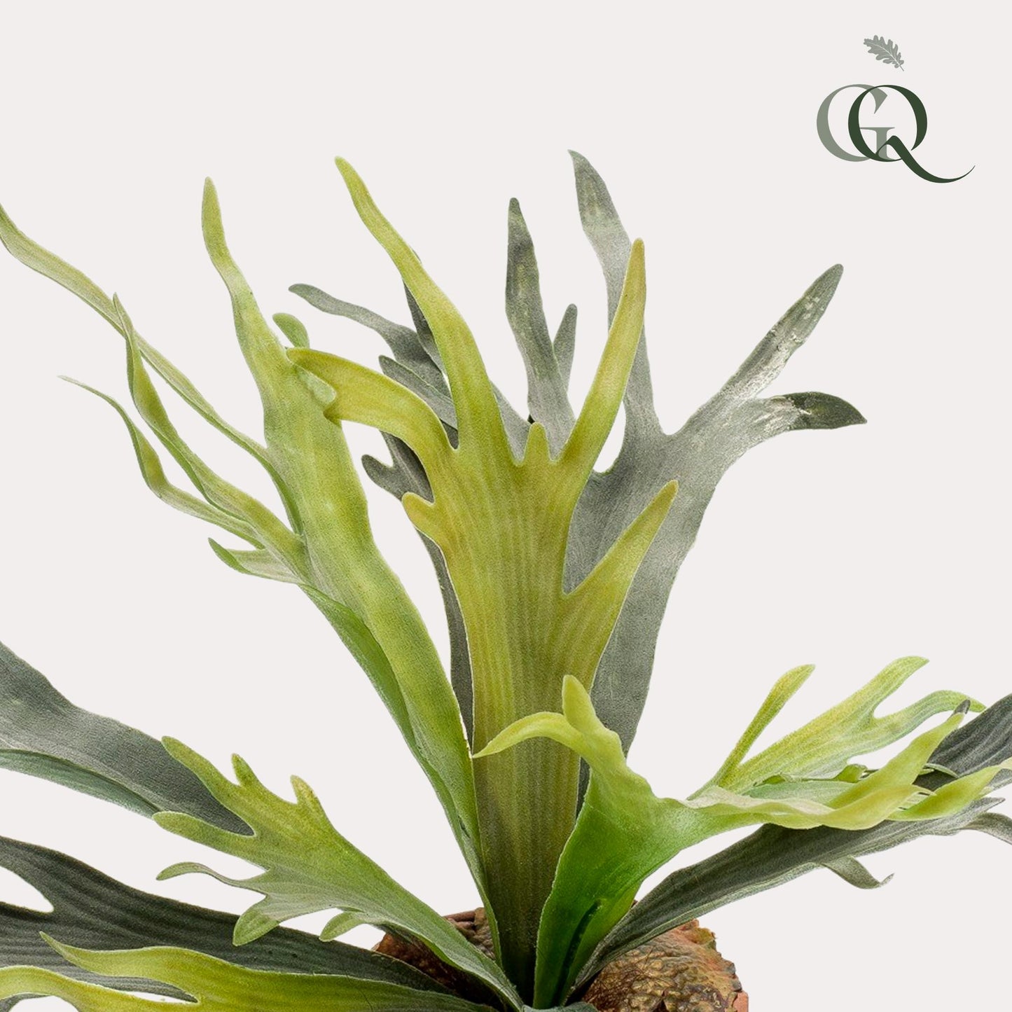 Kunst-Staghorn Farn 50 cm – Geweihfarn | Pflanzfix24.de - Pflanzfix24.de