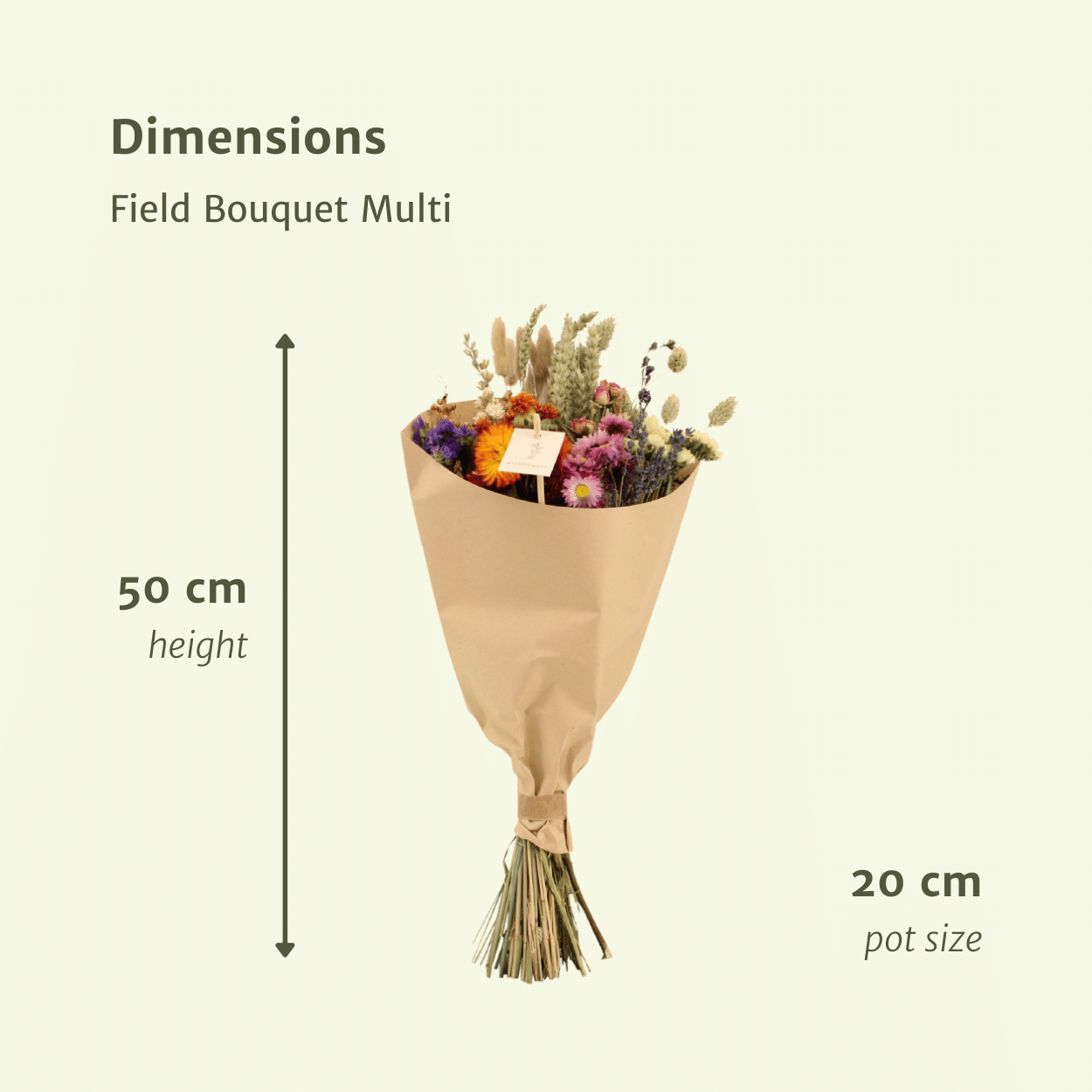 Trockenblumen Feldblumenstrauß Multi Ø20cm | Pflanzfix24.de - Pflanzfix24.de